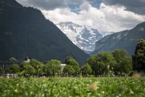 Restaurant Des Alpes AG Restaurant Des Alpes AG